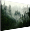 Quadro-su-tela,-Foresta-nella-nebbia
