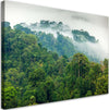 Quadro-su-tela,-Foresta-nella-nebbia