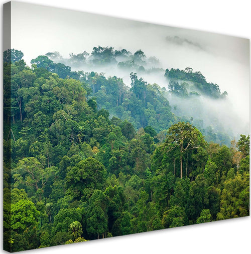 Quadro-su-tela,-Foresta-nella-nebbia