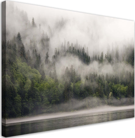 Quadro-su-tela,-Foresta-nella-nebbia