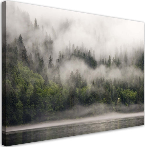 Quadro-su-tela,-Foresta-nella-nebbia