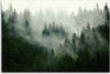 Quadro-su-tela,-Foresta-nella-nebbia
