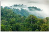 Quadro-su-tela,-Foresta-nella-nebbia