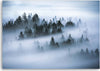 Quadro-su-tela,-Foresta-nella-nebbia