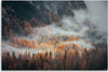 Quadro-su-tela,-Foresta-nella-nebbia