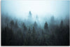 Quadro-su-tela,-Foresta-nella-nebbia