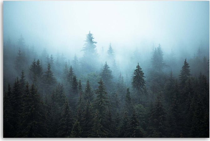Quadro-su-tela,-Foresta-nella-nebbia