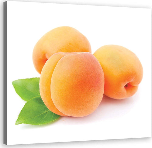 Quadro-su-tela,-Frutta-di-albicocche