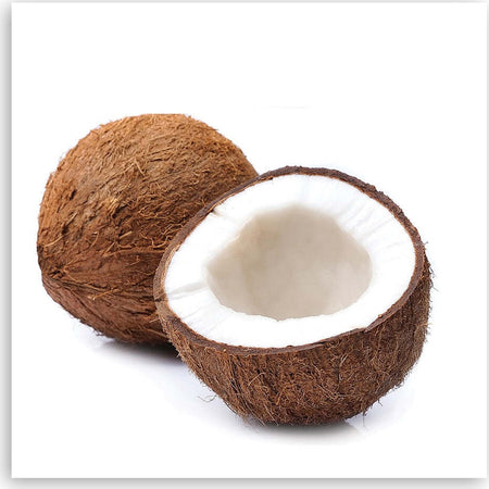 Quadro-su-tela,-Frutta-di-cocco