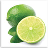Quadro-su-tela,-Frutto-lime