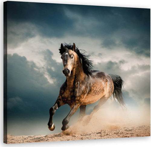 Quadro-su-tela,-Galoppo-di-cavallo