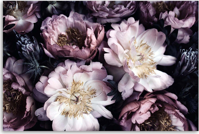 Quadro-su-tela,-Giardino-vintage-per-bouquet-di-fiori