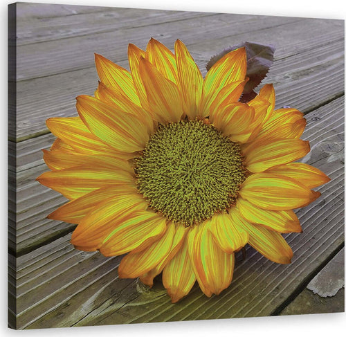 Quadro-su-tela,-Girasole-giallo