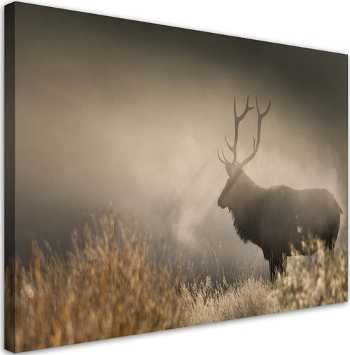 Quadro-su-tela,-Jeleń-nella-natura-nebbia