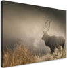 Quadro-su-tela,-Jeleń-nella-natura-nebbia
