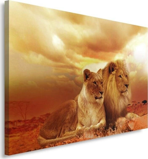 Quadro-su-tela,-Leoni-Animali-Africa-Marrone