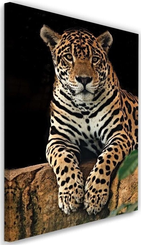 Quadro-su-tela,-Leopardo-Animali-Natura