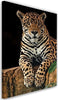 Quadro-su-tela,-Leopardo-Animali-Natura