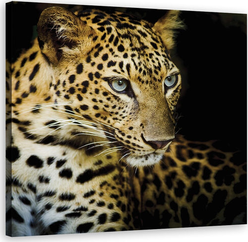 Quadro-su-tela,-Leopardo-maestoso