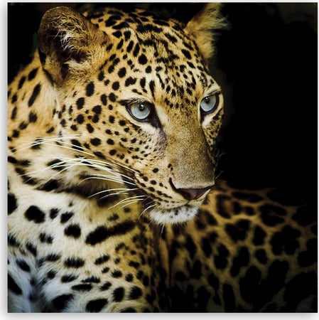 Quadro-su-tela,-Leopardo-maestoso