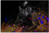 Quadro-su-tela,-Leopardo-nero-su-uno-sfondo-colorato