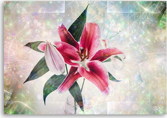Quadro-su-tela,-Lily-rosa