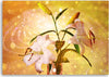 Quadro-su-tela,-Lily-su-uno-sfondo-giallo