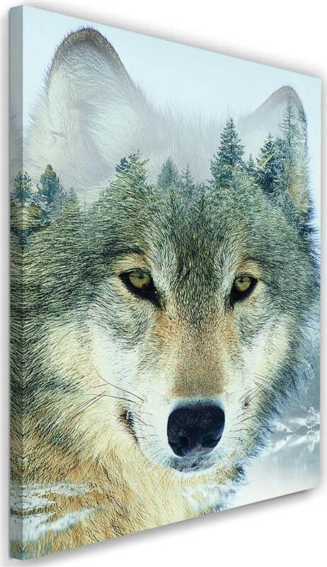 Quadro-su-tela,-Lupo-animale-foresta-natura