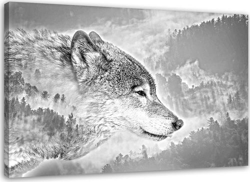 Quadro-su-tela,-Lupo-animale-nebbia-foresta-natura