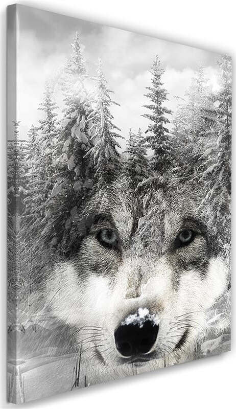 Quadro-su-tela,-Lupo-della-foresta-bianco-e-nero