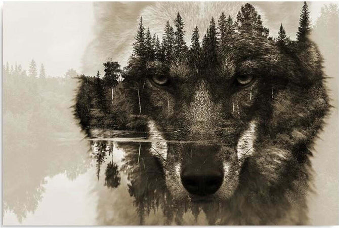 Quadro-su-tela,-Lupo-Foresta-Animali-Natura