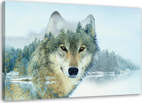 Quadro-su-tela,-Lupo-Foresta-Montagne-Natura