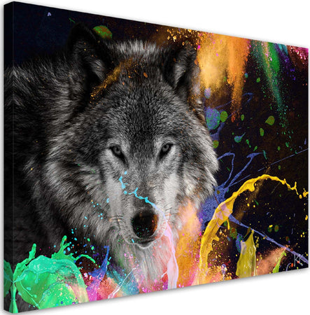 Quadro-su-tela,-Lupo-su-uno-sfondo-colorato