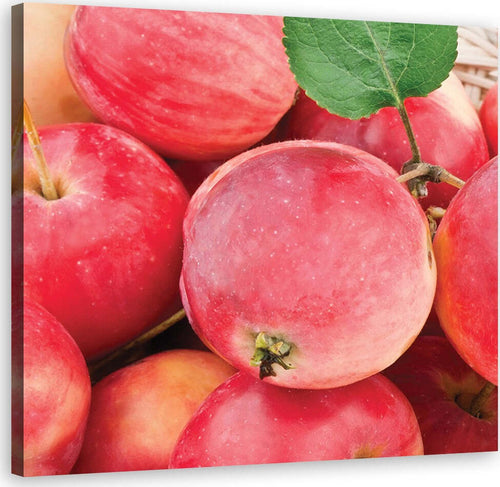 Quadro-su-tela,-Macro-Apple