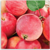 Quadro-su-tela,-Macro-Apple