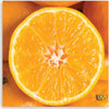 Quadro-su-tela,-Macro-arancione