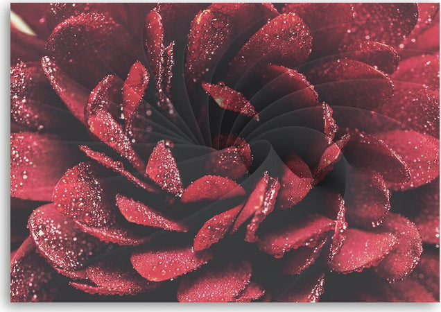 Quadro-su-tela,-Macro-fiore