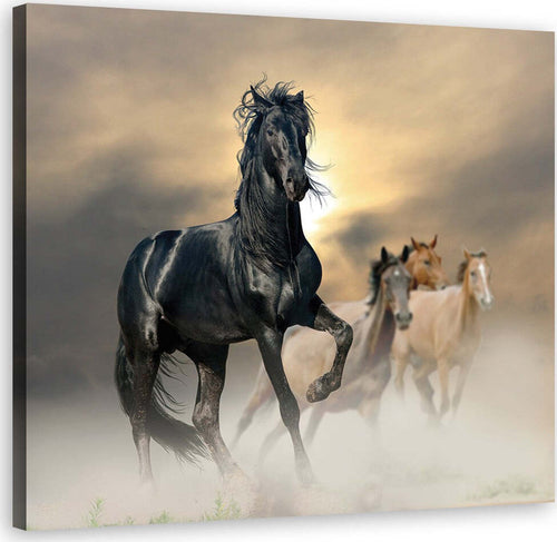 Quadro-su-tela,-Mandria-di-cavalli