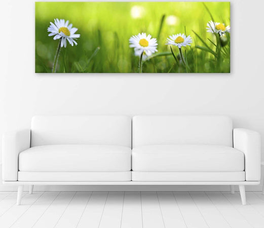 Quadro-su-tela,-Margherite-erba-verde