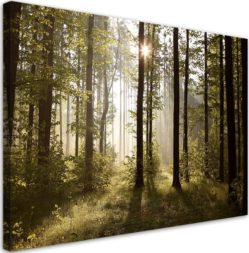 Quadro-su-tela,-Mattina-nella-foresta
