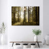 Quadro-su-tela,-Mattina-nella-foresta