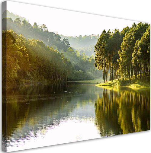 Quadro-su-tela,-Natura-dell'albero-della-foresta-paesaggistica