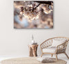 Quadro-su-tela,-Natura-in-fiore-di-ciliegio