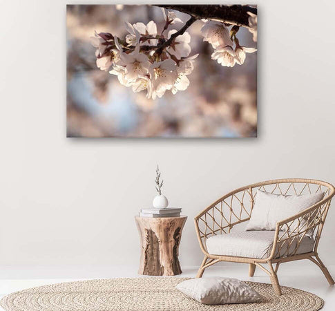 Quadro-su-tela,-Natura-in-fiore-di-ciliegio