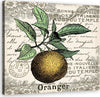 Quadro-su-tela,-Orange-vintage