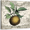 Quadro-su-tela,-Orange-vintage