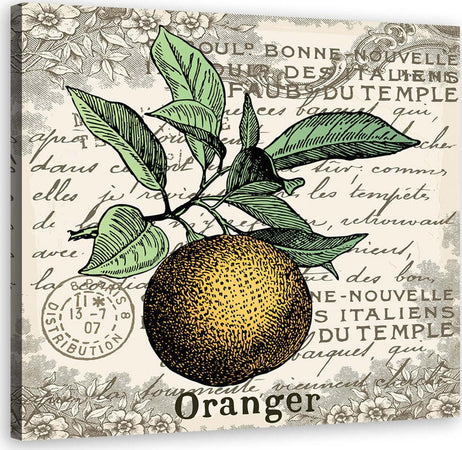 Quadro-su-tela,-Orange-vintage