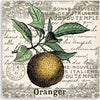 Quadro-su-tela,-Orange-vintage