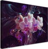 Quadro-su-tela,-Orchidea-bianca-su-uno-sfondo-scuro