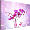 Quadro-su-tela,-Orchidea-essenziale